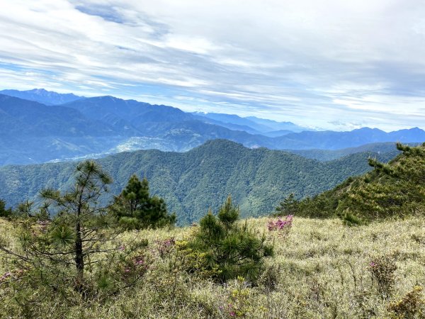 2020/06/11志嘉陽大山993185