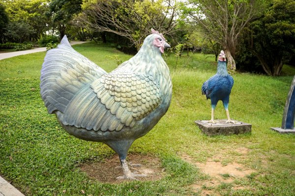 大武崙山｜小百岳2835037