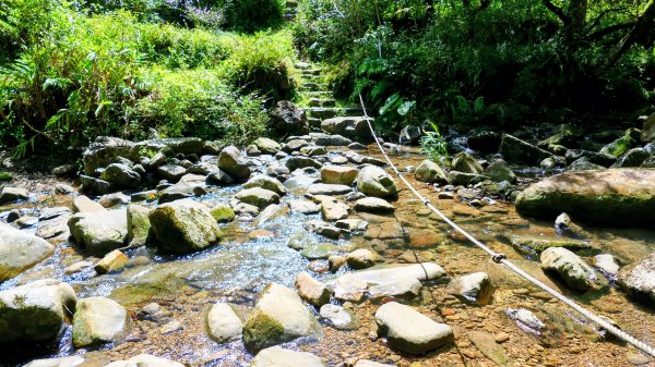 中坑古道東山西山2896463
