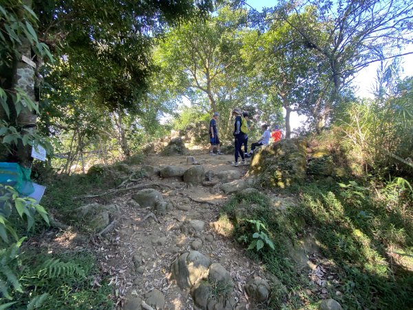 2025微笑山線大縱走尋寶集章任務-Ep.03【鳶山山系】鳶山彩壁段2893667