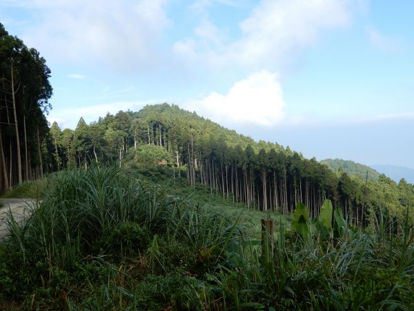 20170826_油羅山封面