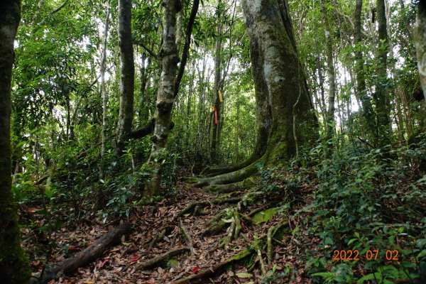 桃園 復興 夫婦山1751562