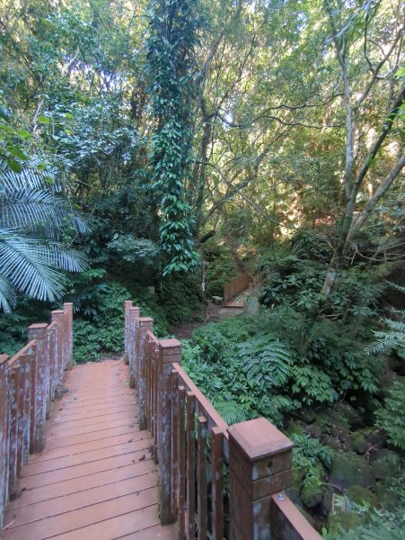 2025.11.15－鳴鳳古道2942991