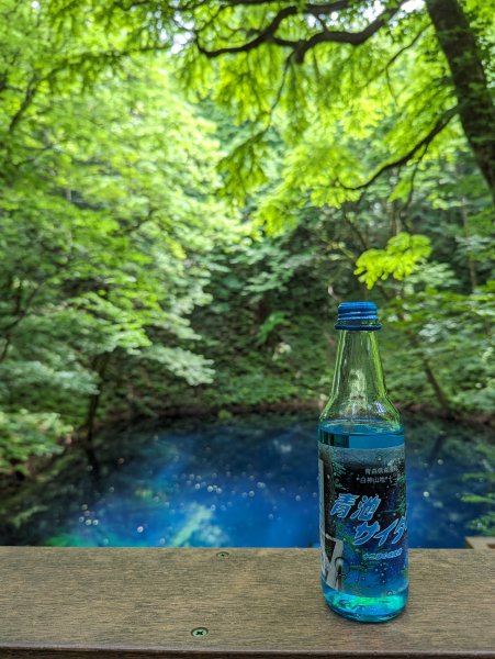 2023-06-14 十二湖（日本）2793212