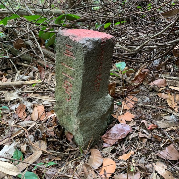 20250419屏東佳平山-虻彈山2767925