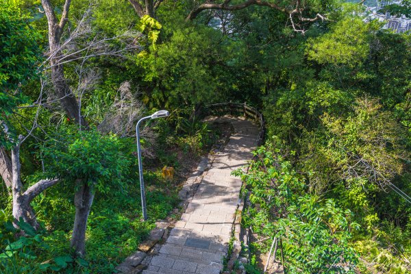 [台北]虎山親山步道、九五峰、南港山2911314