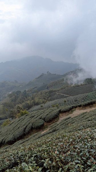 雲嘉五連峰 (大尖山、二尖山、馬鞍山、梨子腳山、太平山)2991049