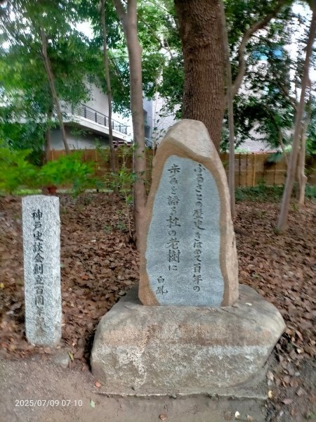 神戶生田神社2832608