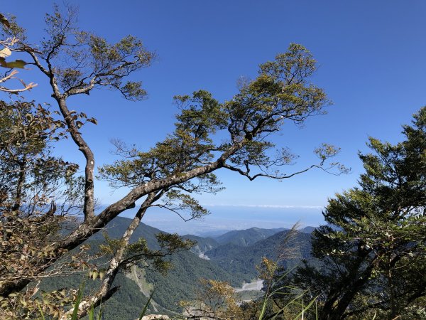 漫步探訪台灣山毛櫸國家步道965899