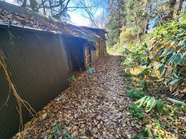 20251123秘境車站峠駅與垂水遺跡2957783