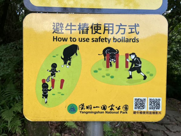 台北 陽明山 絹絲瀑布-擎天崗2722182