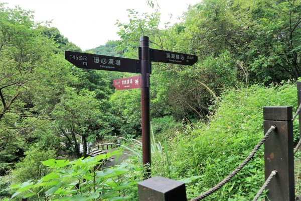 〔暖暖〕 暖東峽谷  ，雙溪荷所在 。昔日淡蘭古道中路一段  壯觀滑瀑，新北最大荷花園  唯美黃荷2187575