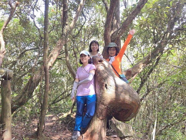 20250817橫笛沙O繞2890026