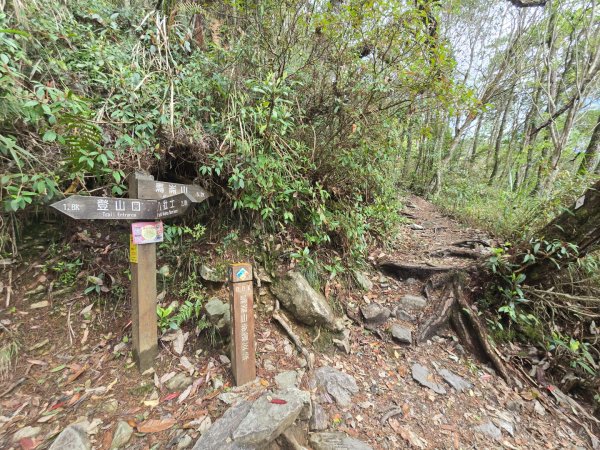 谷關七熊馬崙山2748809