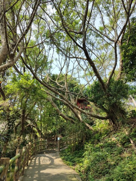 2024.03.17 竹東三山連走2900076