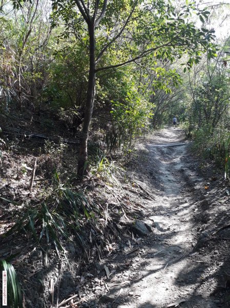 台中太平三汀山登山步道20181021439416