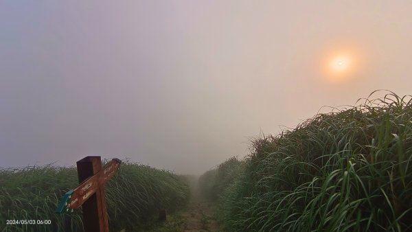 陽明山再見經典的雲瀑5/32494624