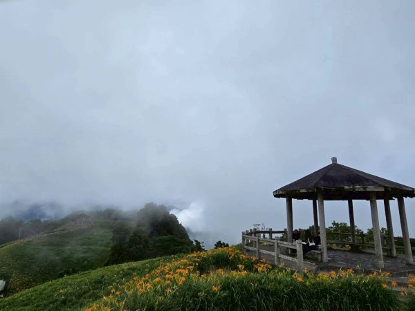 太麻里金針山2872625