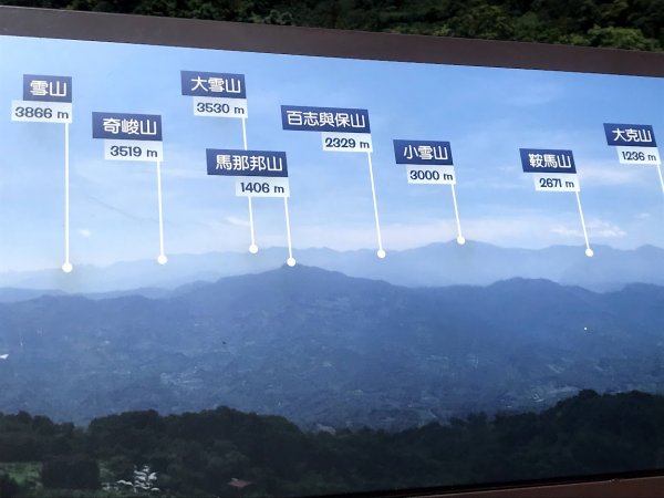 薑麻園桐花步道202006271965409