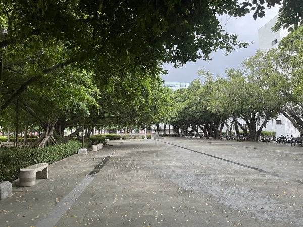 [全臺走路趣尋寶-25/100] 2024_0706_南瀛綠都心公園2546368