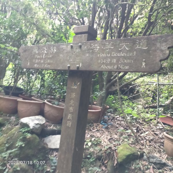 臺北大縱走第二段：二子坪至小油坑2840540