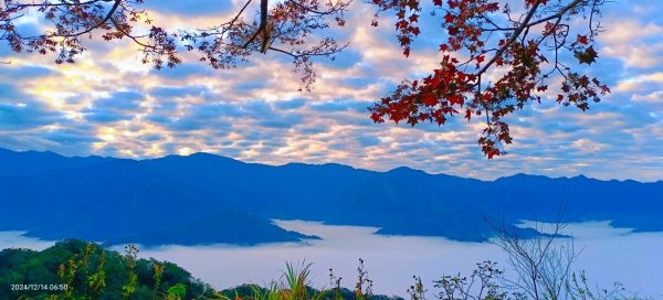 二訪馬拉邦山，解鎖 #琉璃光雲海 #日出雲海  #血月 #斜射光 #楓葉紅了！2668660