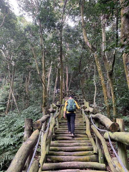 20251108台中頭嵙山-二嵙山2933364