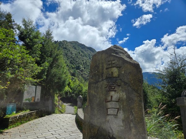 塔塔加步道（大鐵杉登山步道）2883105