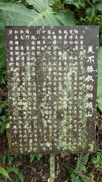 小百岳29號-20200920苗栗獅頭山1106713