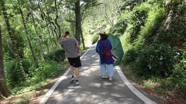 澀水森林步道登山健行趣(步道)2259799