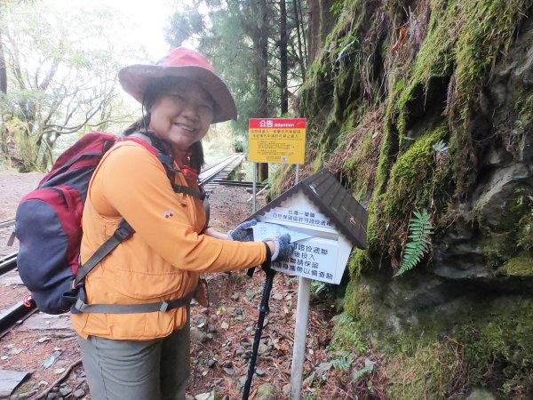 2023尋訪消失的眠月線聚焦失落沉寂的百年鐵道之旅2109676