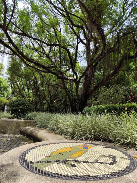 大安森林公園、永康公園、大港墘公園 - 內科嘉年華會 戲曲•特技之夜2577760