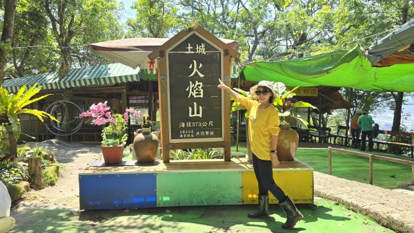 2025桐花大爆發，台灣最大的賞桐花景點，土城桐花公園、天上山及火焰山的桐花大爆發2776463