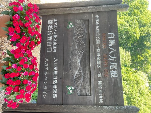 日本白馬-八方池-唐松岳3099692