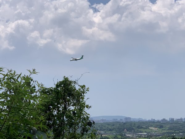 20250628高雄上平山2826359