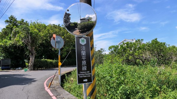 頭城綠色隧道,八角瞭望台2549359