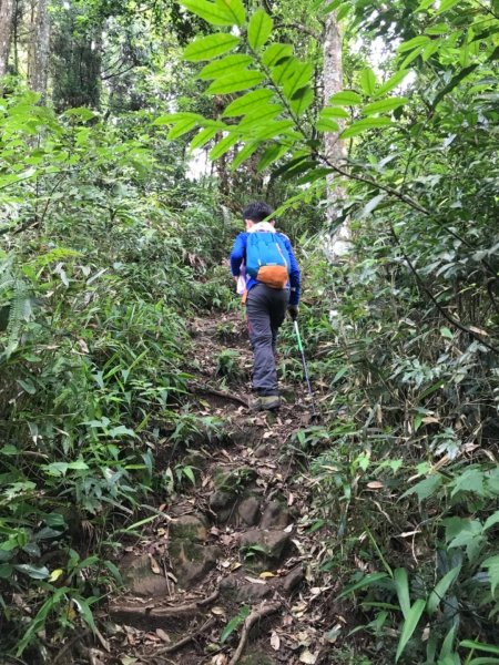 新竹五指山599747