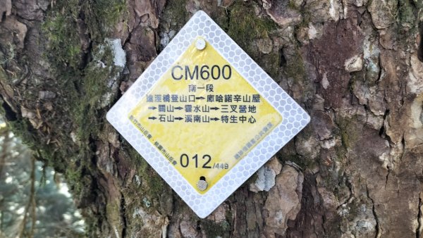 20250126_臺南首嶽關山2706896