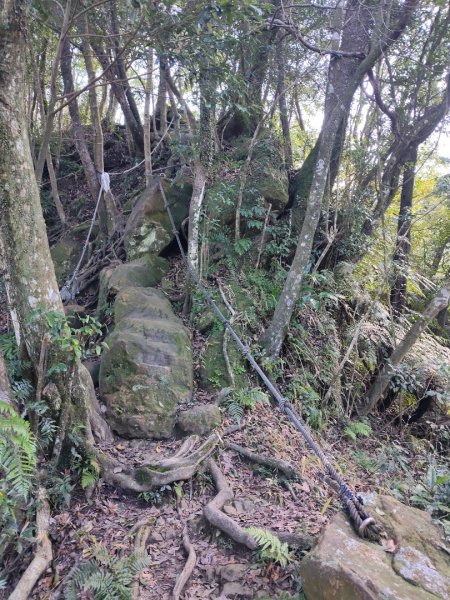 微笑山線：【二格山系】筆架連峰段2963185