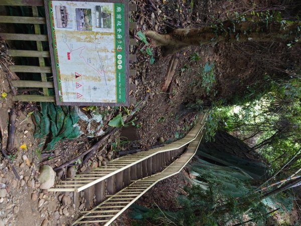 豐柏登廟步道2279548