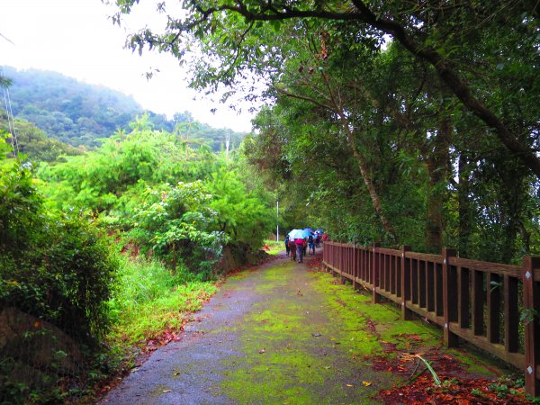 最美的步道名--德芙蘭生態步道625099