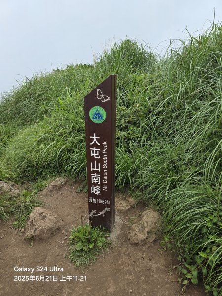 2025-06-21臺北大縱走第二段：二子坪至小油坑2821072
