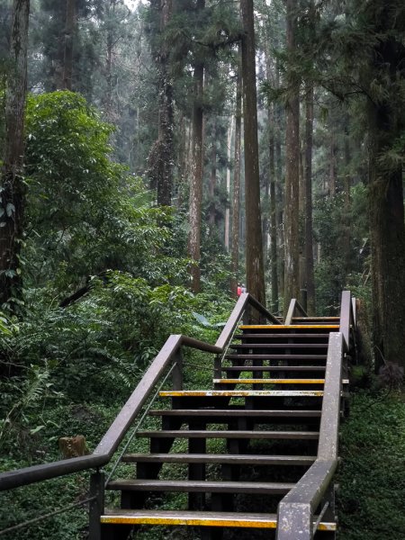 2025-09-14 奮起湖2887444