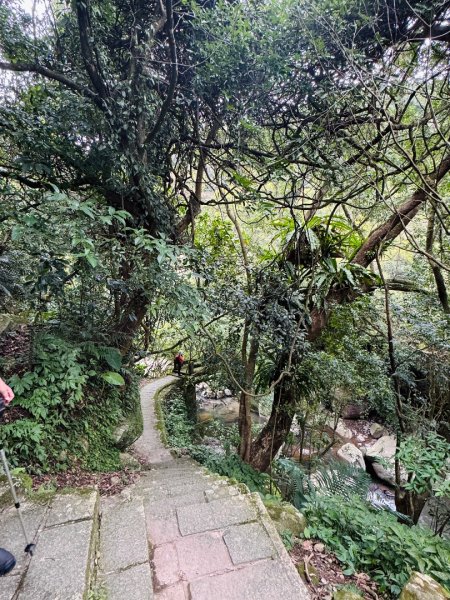 登峰古圳訪高頂山 北五指山 出荷蘭古道 快閃聖人瀑布2981958