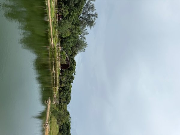 大湳森林公園2860331