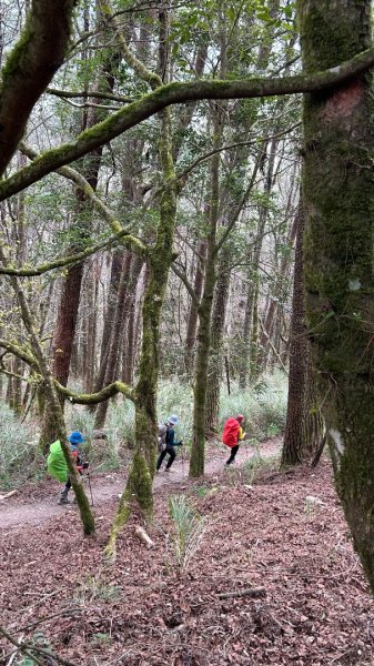 秀林塔次基里溪古關原3027620