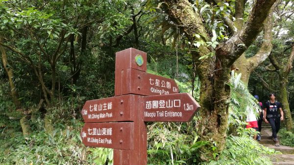 七星山主峰、東峰之行408955