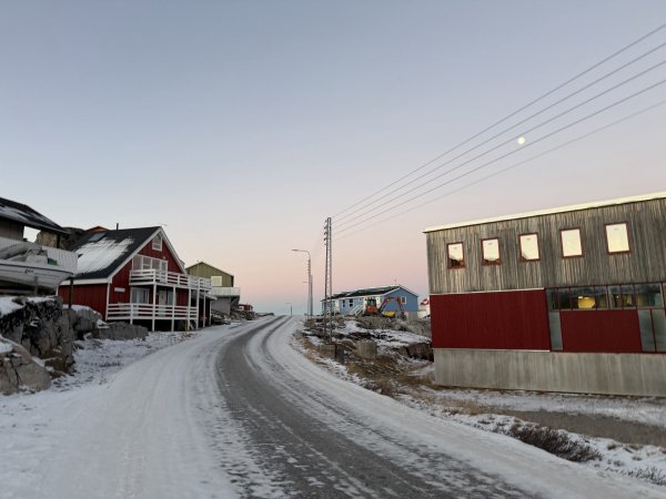 [紐約馬之行-39] 2025_1107 黃線步道登山口2950374