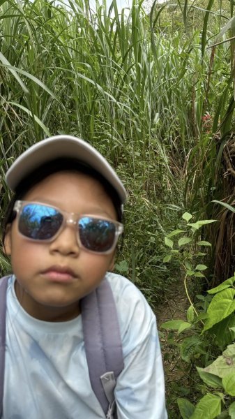 20251025 小百岳竹子尖山及刣牛湖山2925024