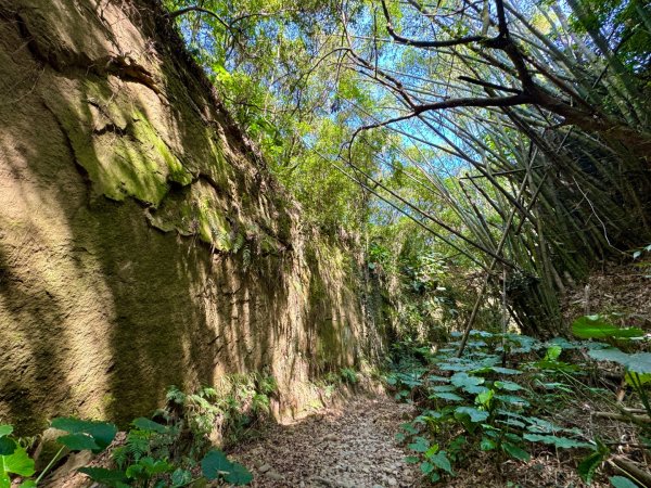 彰化一線天2657575